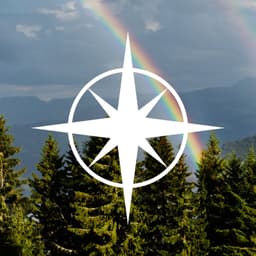 The Star Village