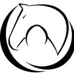 Changing Leads Foundation