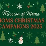 MOM2 MISSION OF MOMS2