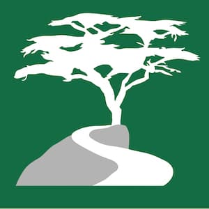 Cypress River Advisors