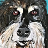 Fiona Metcalfe