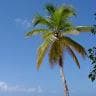 Sunlife