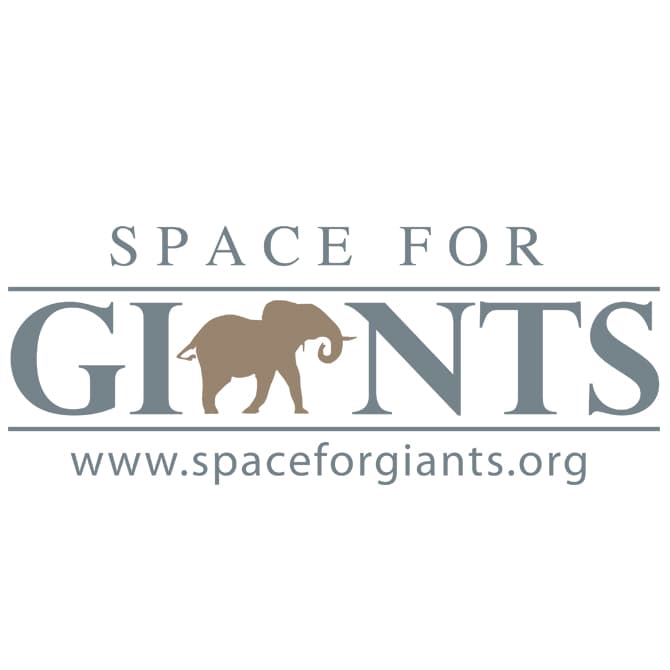 Space for Giants